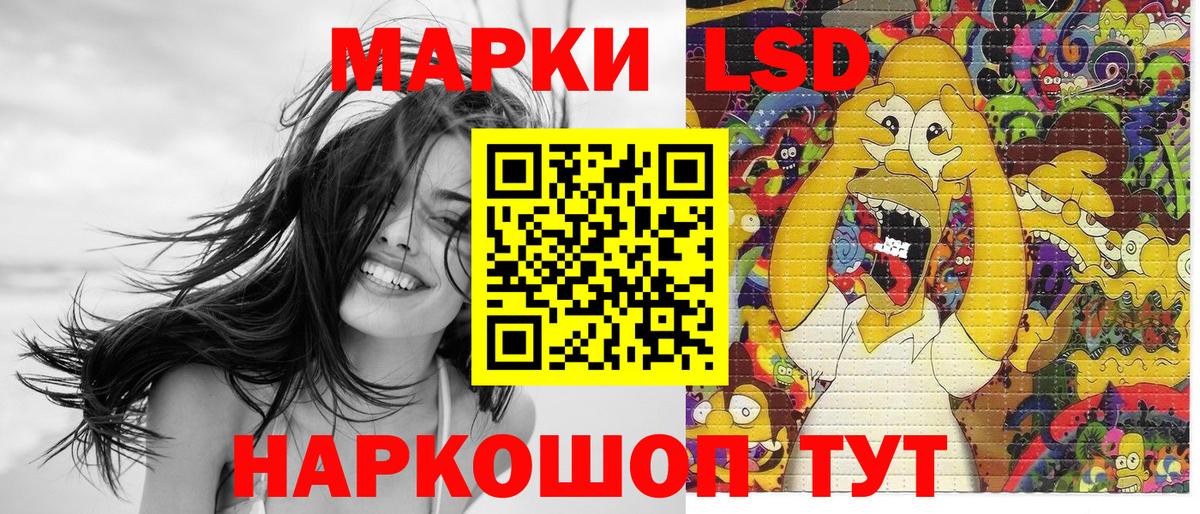 Прохладный  Наркотические марки 1,8мг  где продают   Вход с VPN 